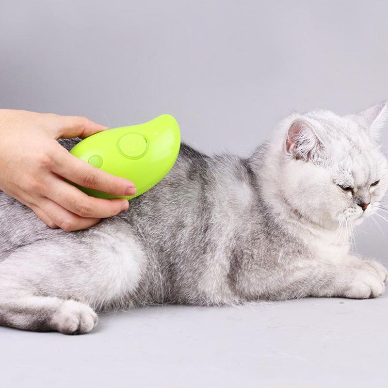 Pet Electric Spray Massage Comb